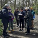 Volunteers in woodlands complete woodlands self-assessment condition survey.